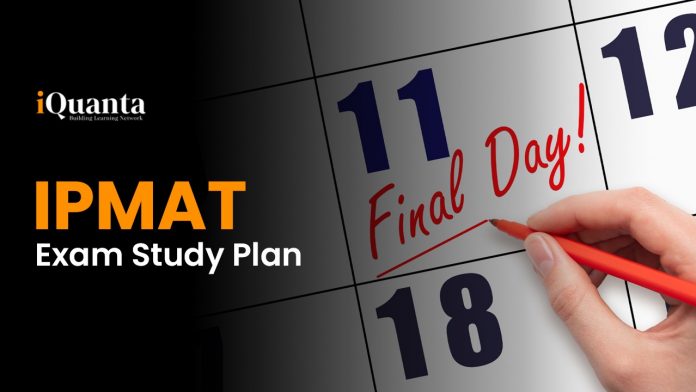 ipmat study plan