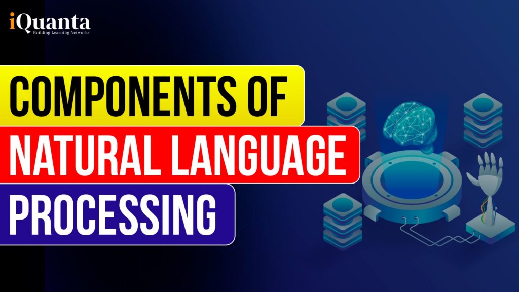 components of NLP