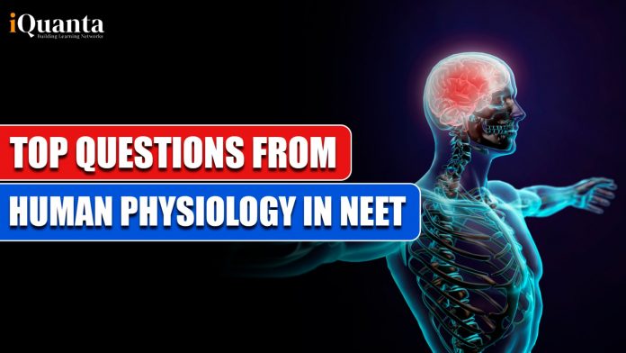 NEET 2025 Important Questions